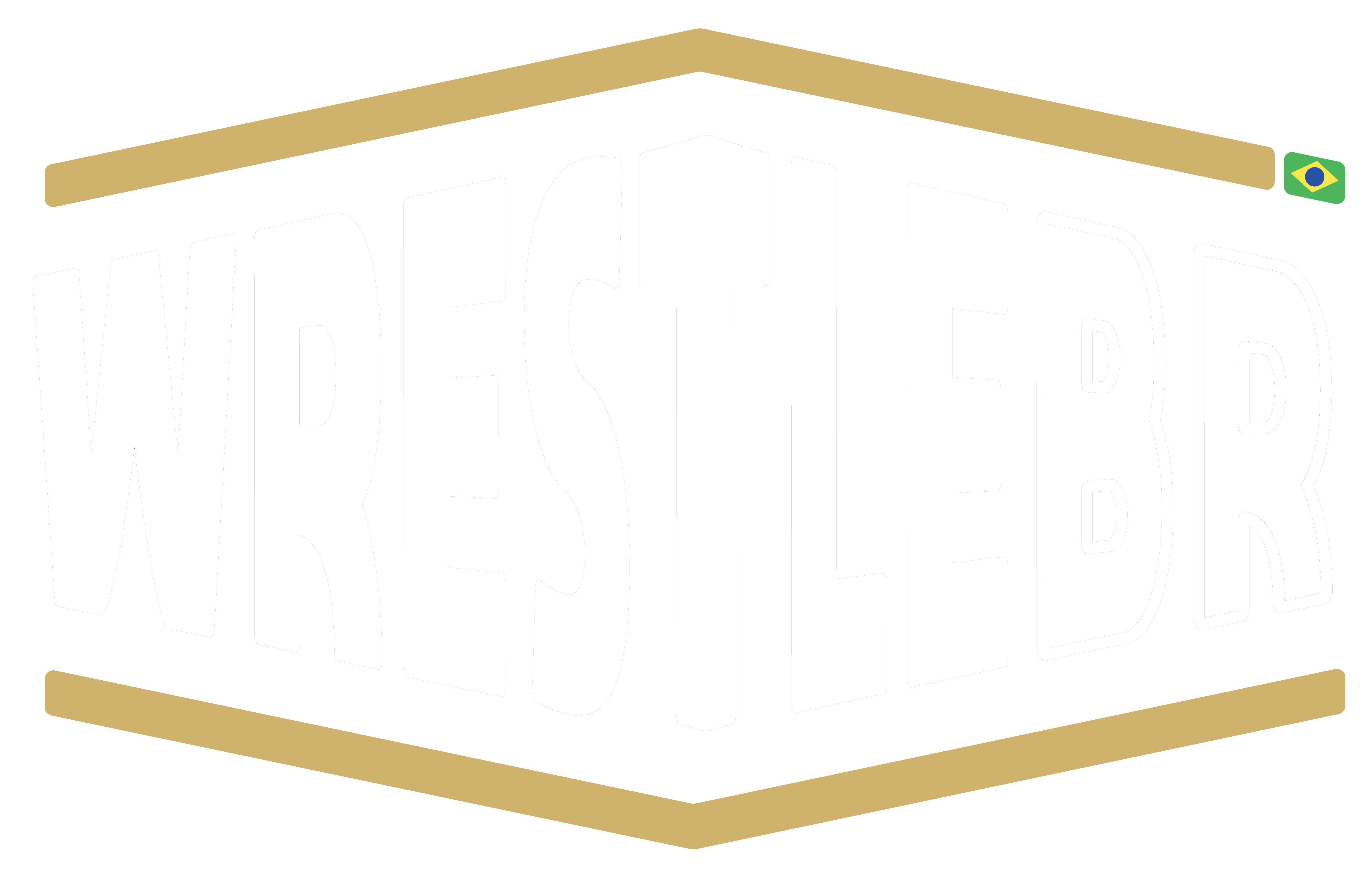 WrestleBR — Tudo sobre WWE, RAW, SmackDown, NXT, AEW, e muito mais