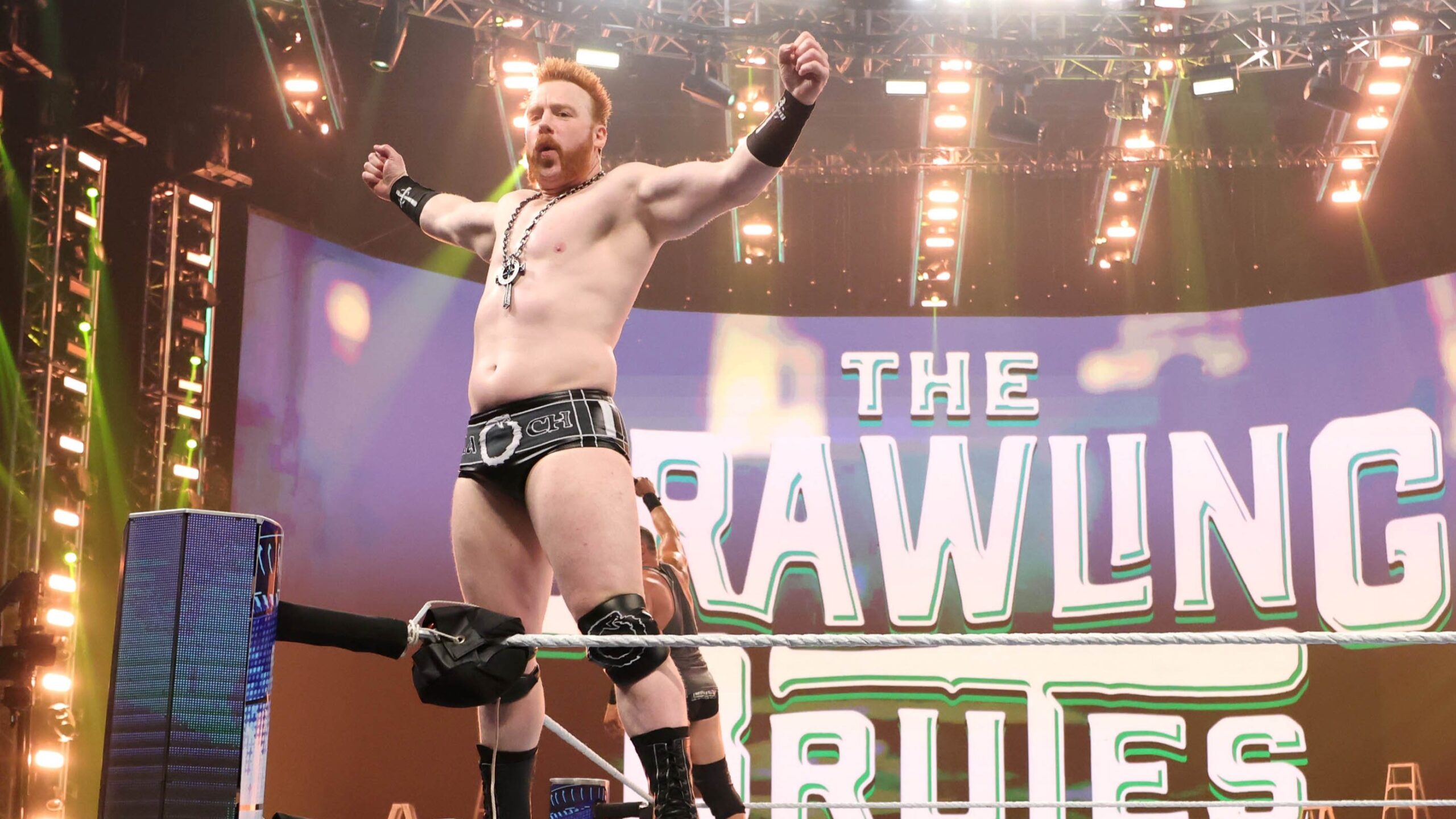 Sheamus frustrado com planos da WWE para o Brawling Brutes