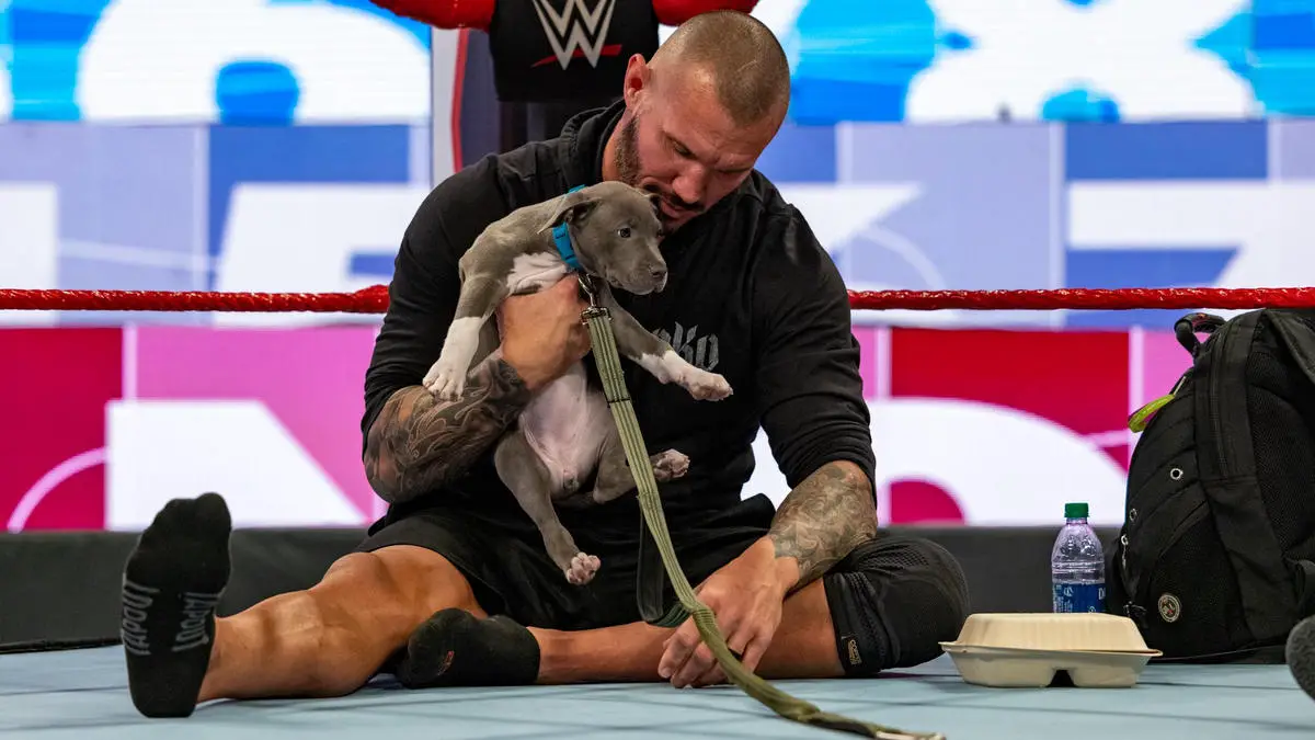 Randy Orton