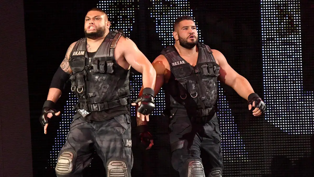 WWE Authors of Pain