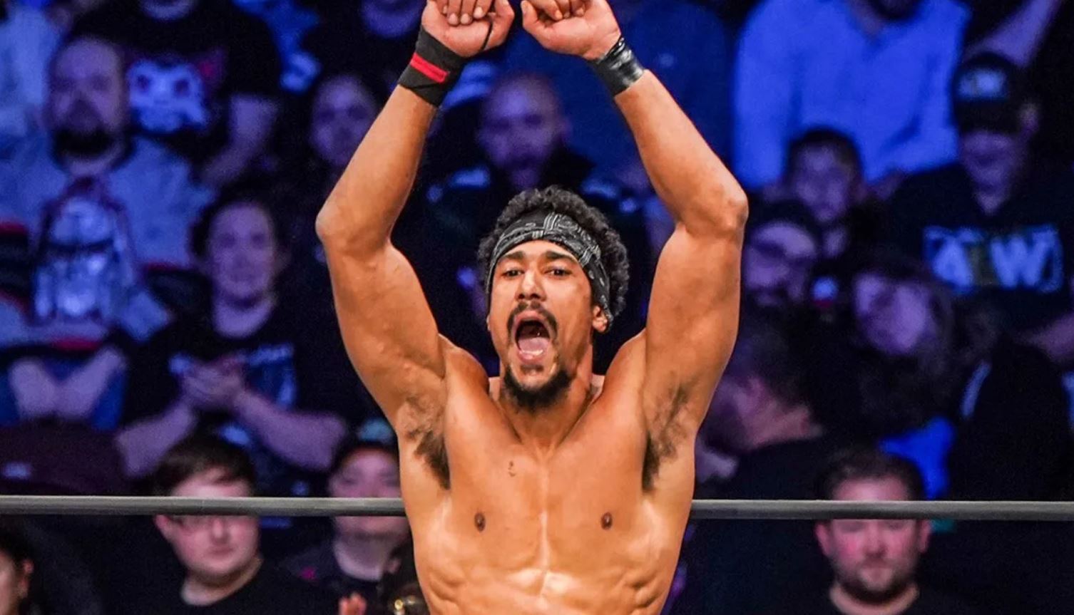 AR Fox