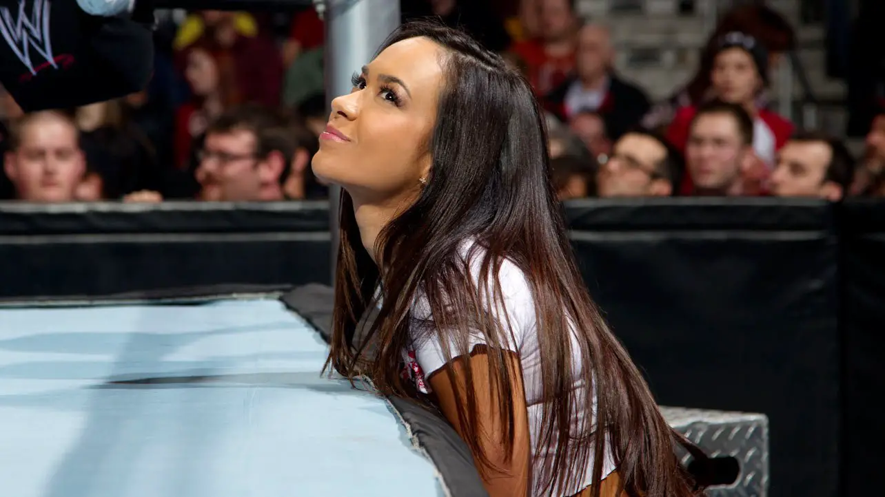 Status de AJ Lee após retorno de CM Punk à WWE