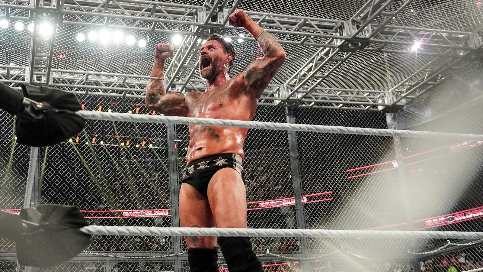 CM Punk