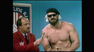 Hulk Hogan Jesse Ventura