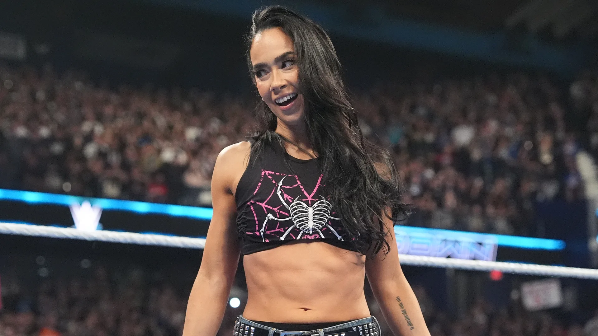 Triple H divulga vídeo de AJ Lee assinando novo contrato com a WWE